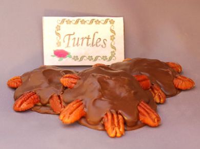 HANDMADE TURTLES
