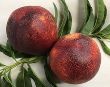 FRESH NECTARINES (6-8 FRUITS/3-6 LBS.) - AVAILABLE JULY 2026