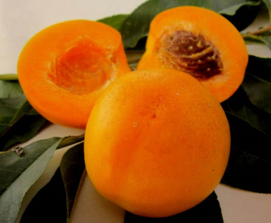 FRESH NECTARINES (6-8 FRUITS/3-6 LBS.) - AVAILABLE JULY 2026