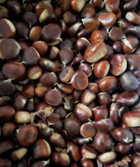 z02-FRESH EUROPEAN CHESTNUTS - 5 LBS
